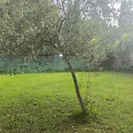 L'escapade T3 Avec Terrasse Privative *