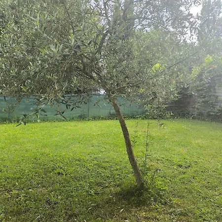 L'escapade T3 Avec Terrasse Privative *